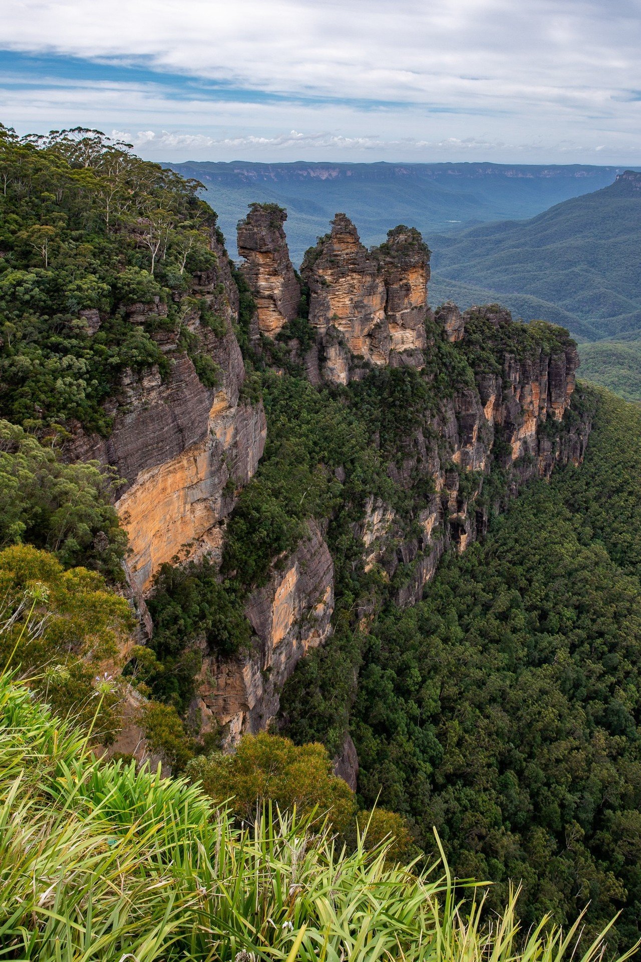 世界遺産ブルー・マウンテンズ国立公園｜Zenpaku