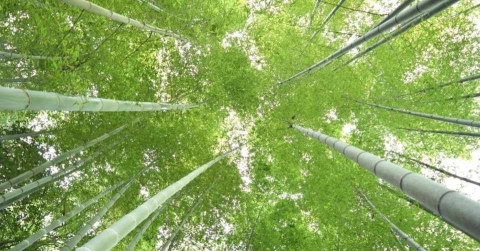 変わったね って言われないように気を付けなきゃいけないと思った話 よねたく Note