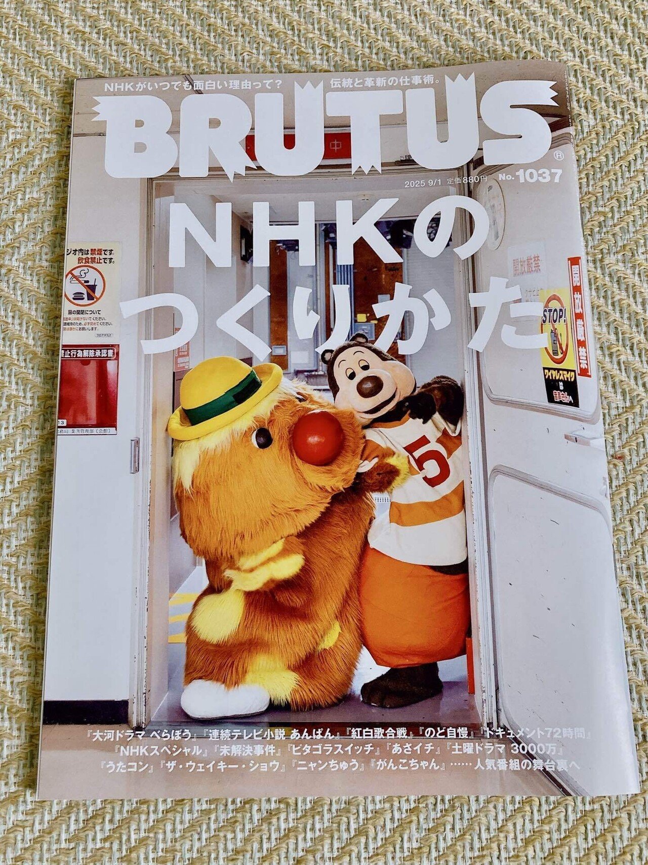 また可愛いのみっけ 東京生まれゴロリ育ちなので最高です！ がんこ