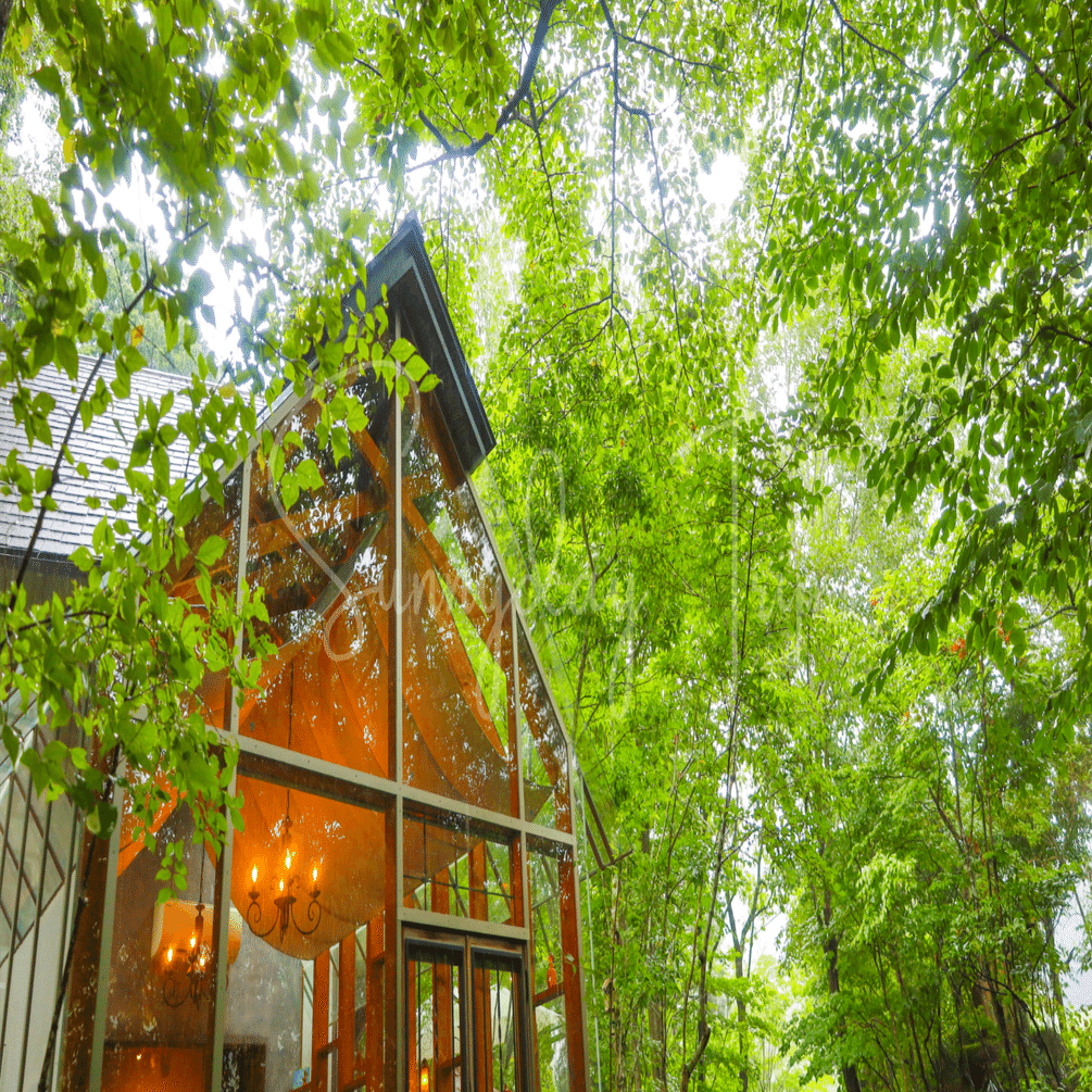 今日も元気で生きていることに感謝したくなる「野間の森 MIGIWA」能勢