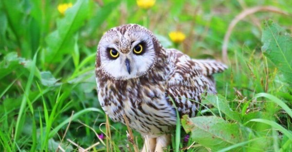 東大日本史過去問題集｜野島博之｜note