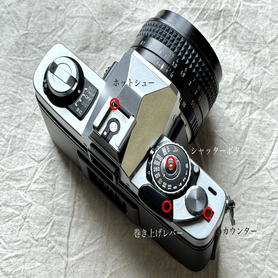 MINOLTA XG-Sの使い方｜tayutau kakera