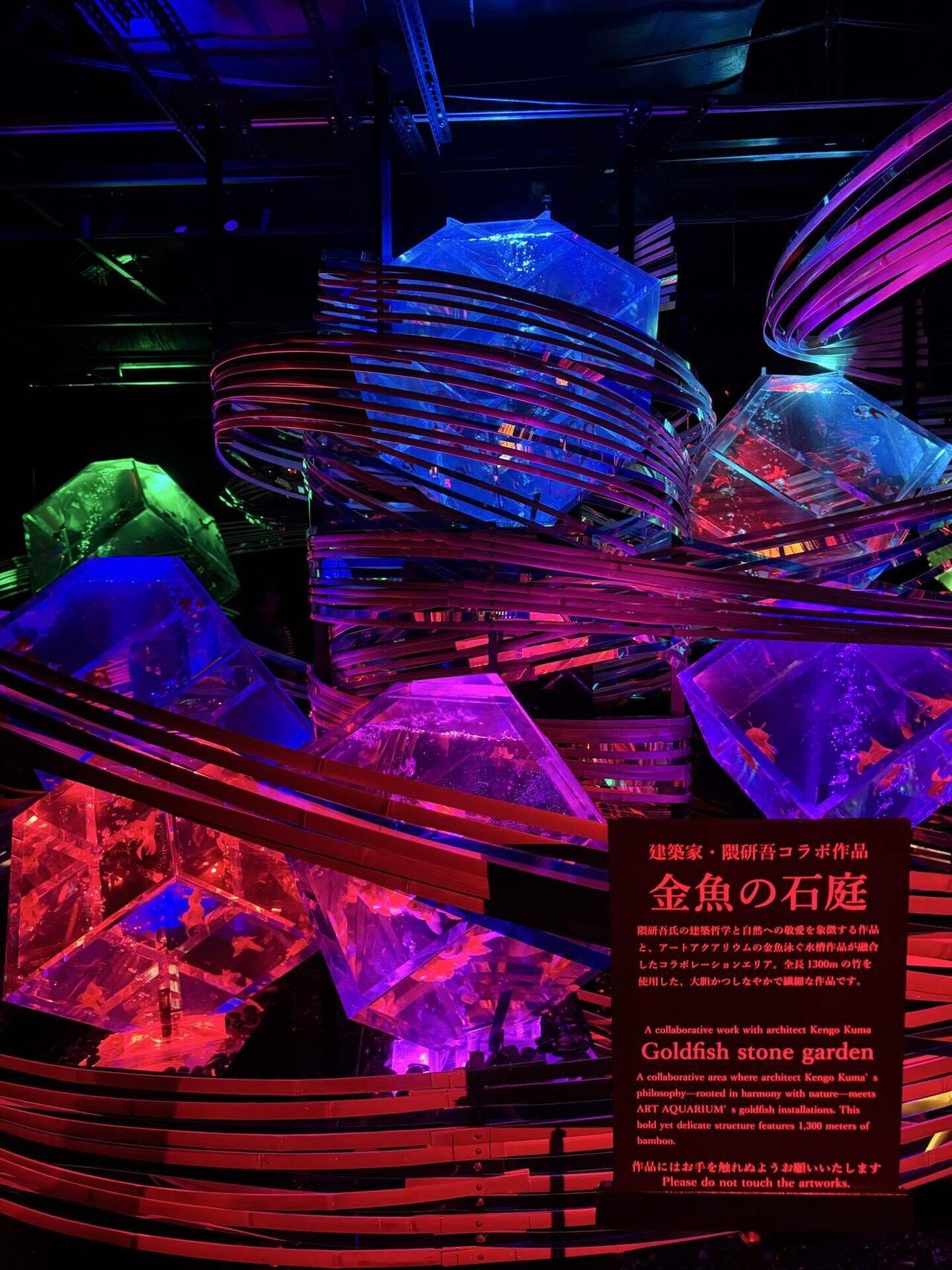 カクレクマノミ 金魚アート 枡 c9753097b740ef7b7d71db236013dc