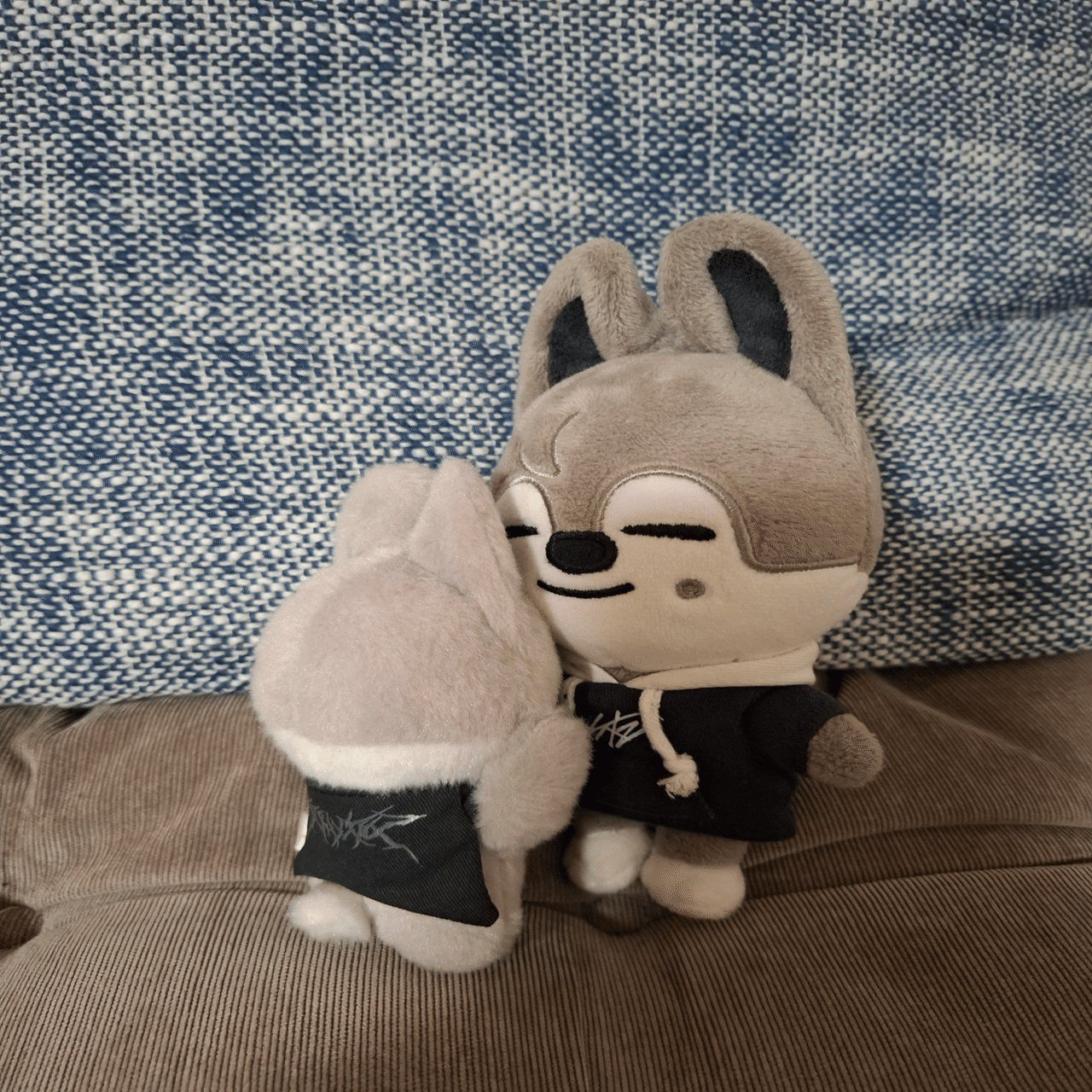 我が家のskzooたち〜ミッション！｜あや