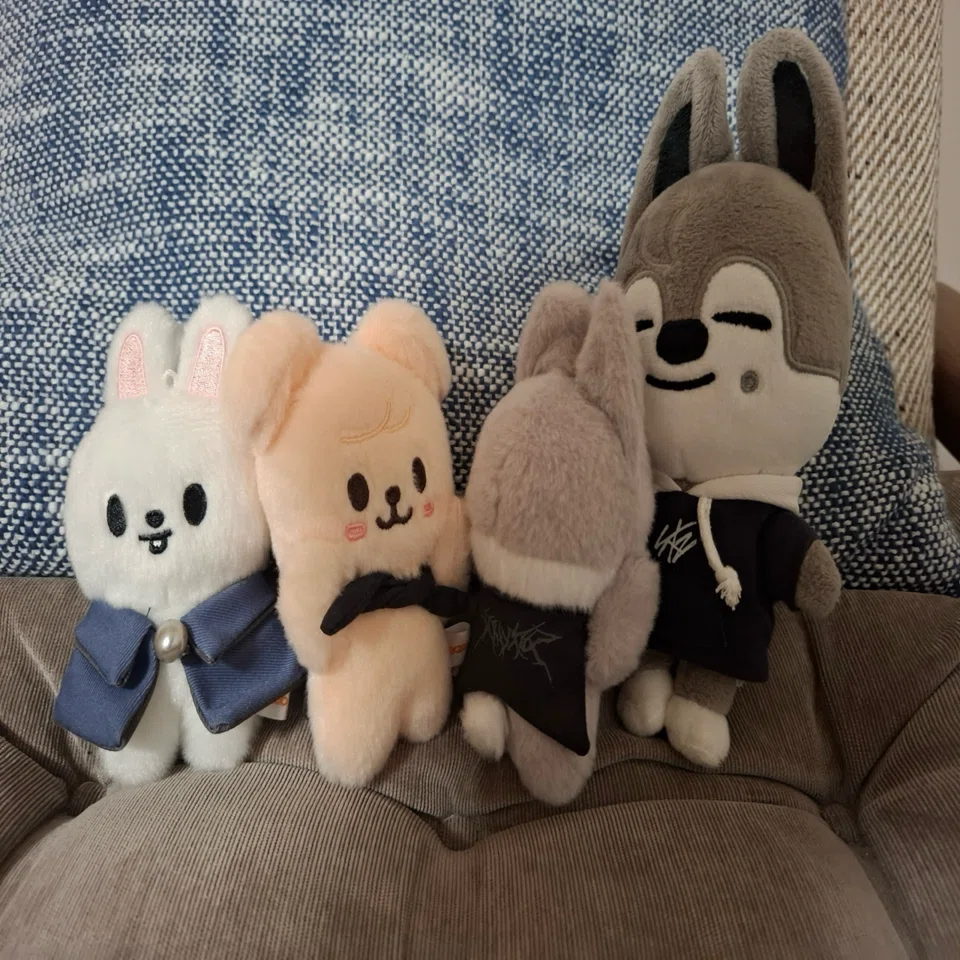 我が家のskzooたち〜ミッション！｜あや