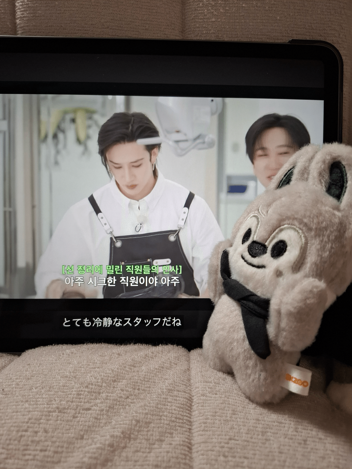 我が家のskzooたち⑩ ミッション！｜あや