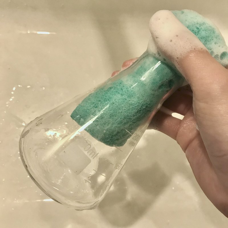 こんなときこそ家に花を飾ろう 本当はかんたんな草花の買い方 基本のお手入れ Juneray Note