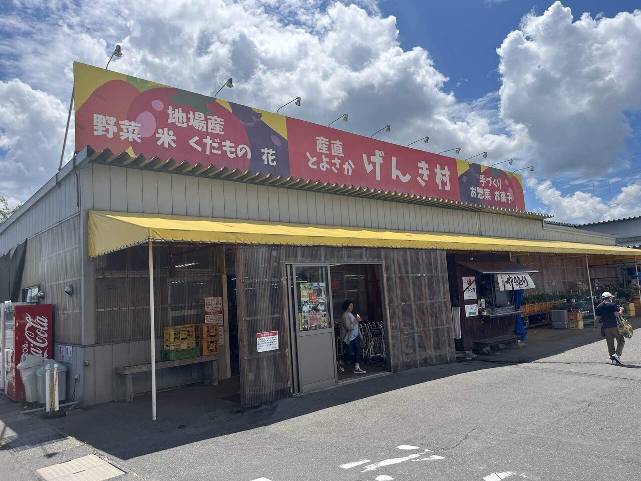 恒例の新潟競馬場遠征 2025夏（後編）｜さくけん