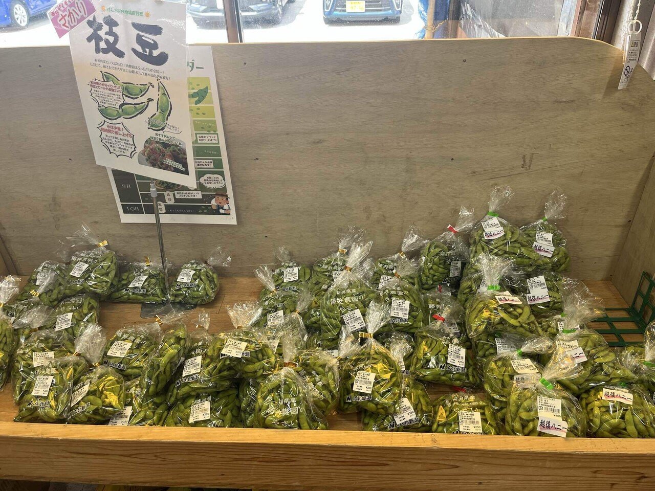 恒例の新潟競馬場遠征 2025夏（後編）｜さくけん