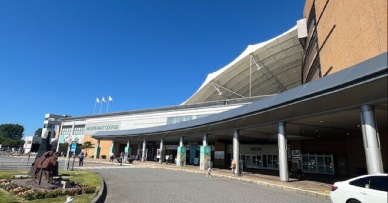 恒例の新潟競馬場遠征 2025夏（後編）｜さくけん