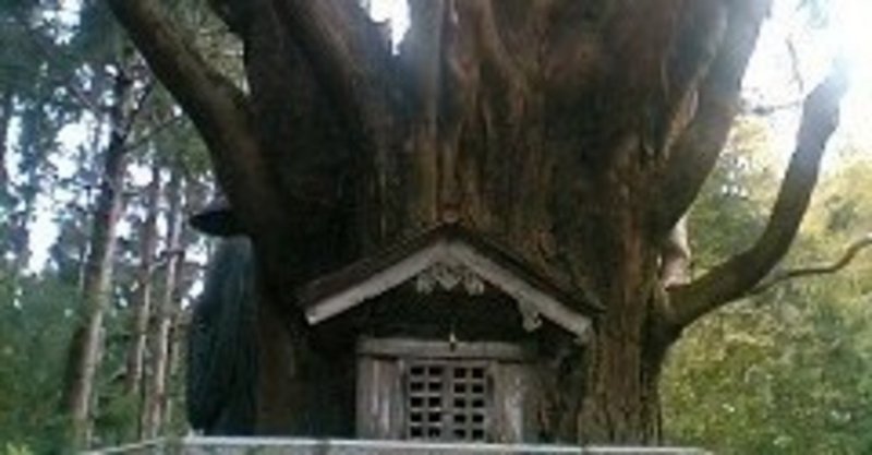 アキエゲート の追及 安倍昭恵のスピリチュアル八紘一宇 馬の眼 ishtarist note
