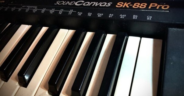 Roland SH-101 アナログシンセサイザー 37鍵 Roland SH-101 アナログシンセサイザー 37鍵（SH-101 / Roland