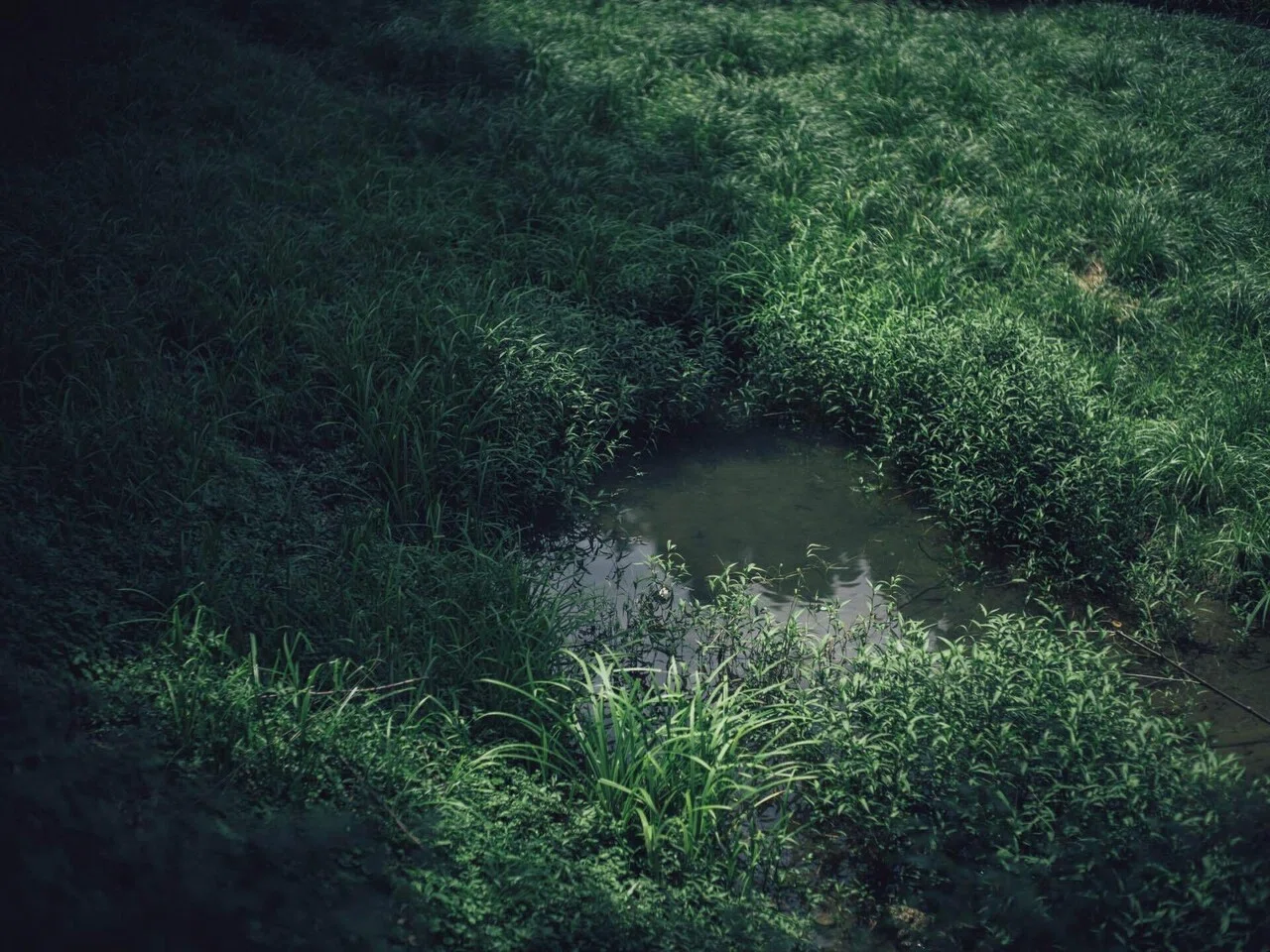 KIPON BAVEYES Pentax 67 - GFX 0.62 x フォーカルレデューサー マクロ