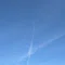 さにー