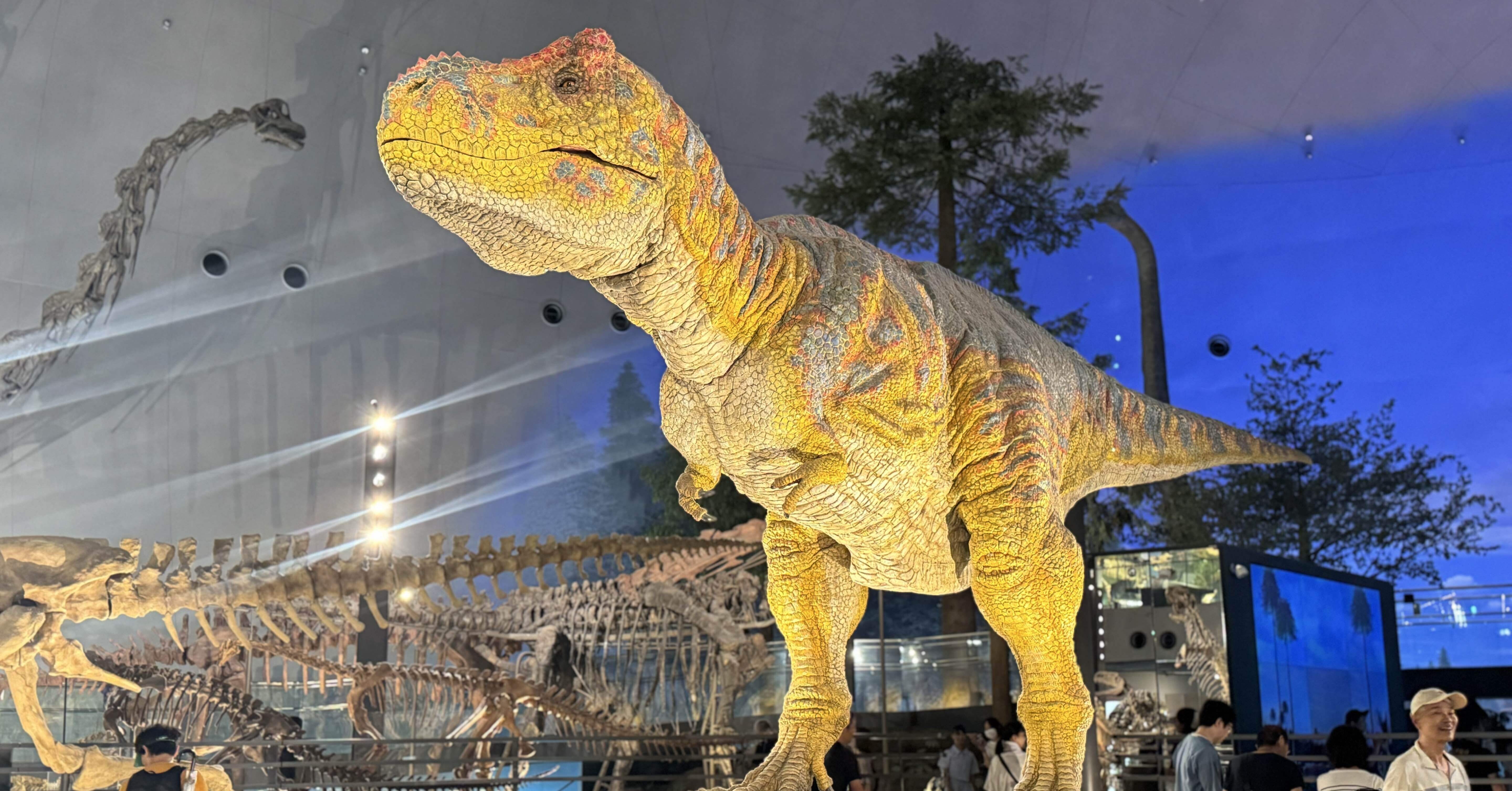 bd536cee78b84bf08aaf7357c86720