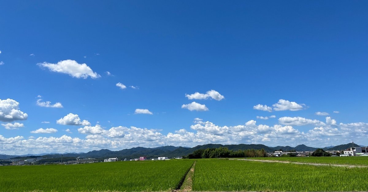 これから鍼灸院など個人院を開業するあなたへ㊵ウェブ会社に騙