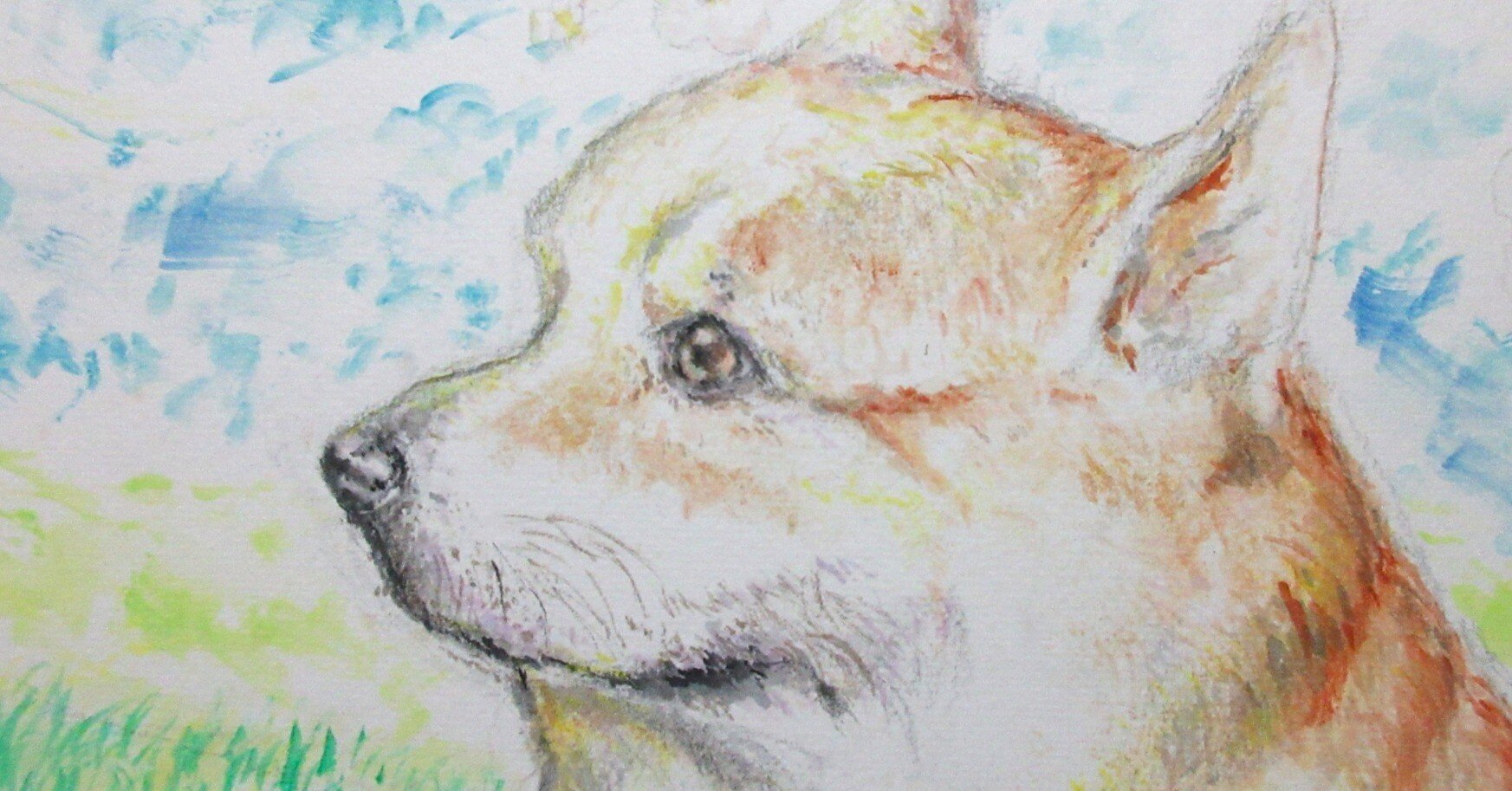 水彩絵具と色鉛筆】わんちゃんの絵を描いてみた！｜Atelier Non