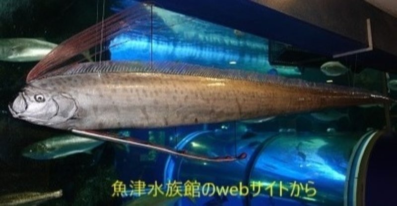 注釈 Vol 7 人魚伝説 Kazuo Futagi Note 注釈 Vol 7 人魚伝説 Kazuo Futagi Note