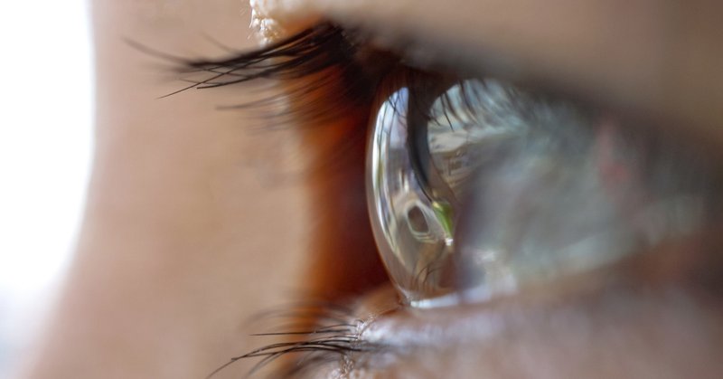 臨床 社会 視線の心理学 ３ 見られている自分への恐怖 対人不安のメカニズム 今井 正司 Note