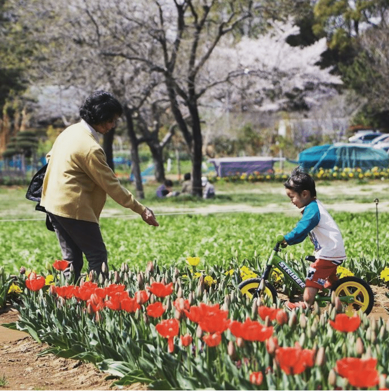 祖母が唯一の孫に会えない 雷鳥風月 Note