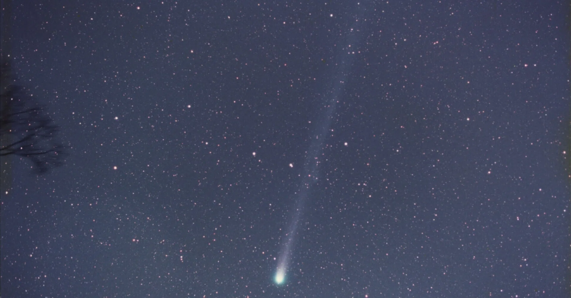 星の記憶帳 ～1996年百武彗星～｜星空写真家 × 会社役員 | 「好き」を