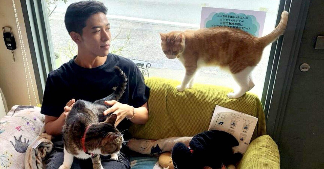 熊本 猫とnëco｜豊田歩 Ayumu Toyoda