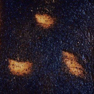 仄暗い水の底から感想 生肉 Note