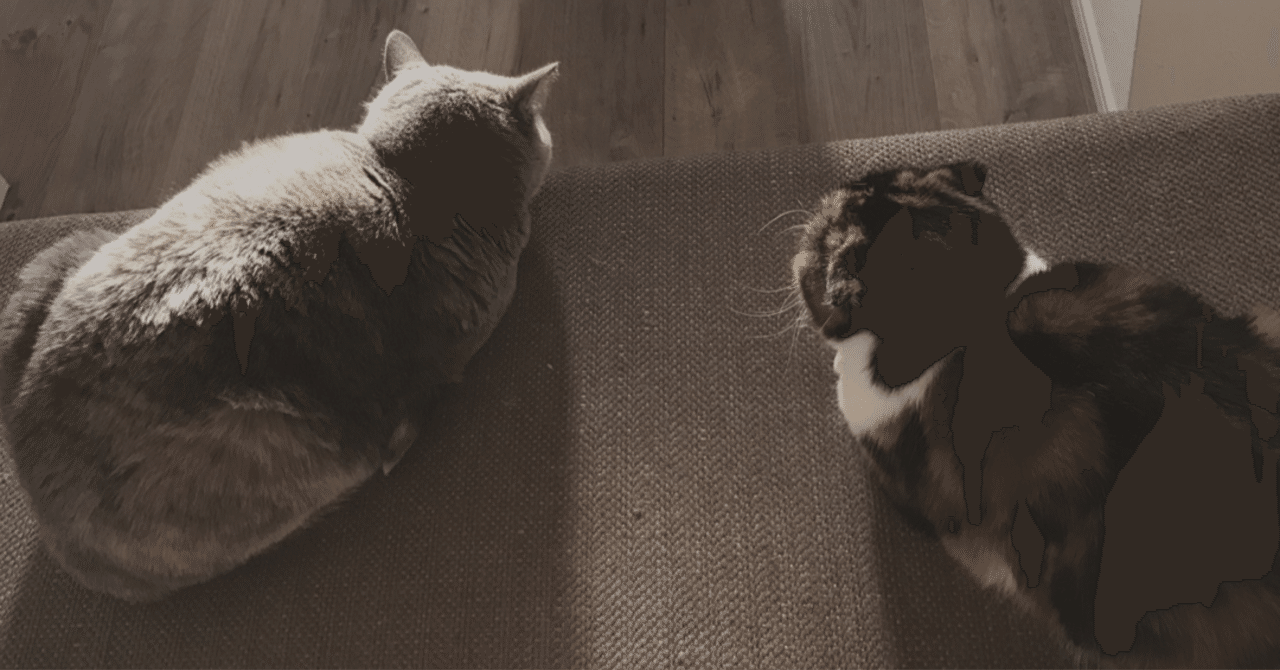 猫の後頭部が好きです しおとす Note