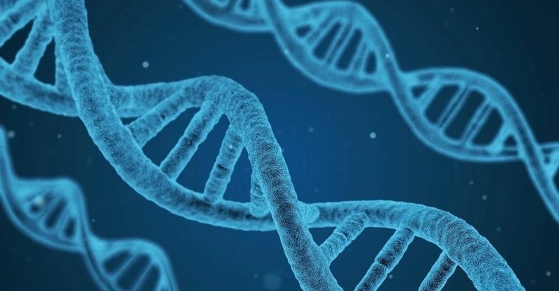 学力の 割は遺伝で決まる 絶望の行動遺伝学とその妥当性 よさまつ Note 学力の 割は遺伝で決まる 絶望の行動遺伝学とその妥当性 よさまつ Note