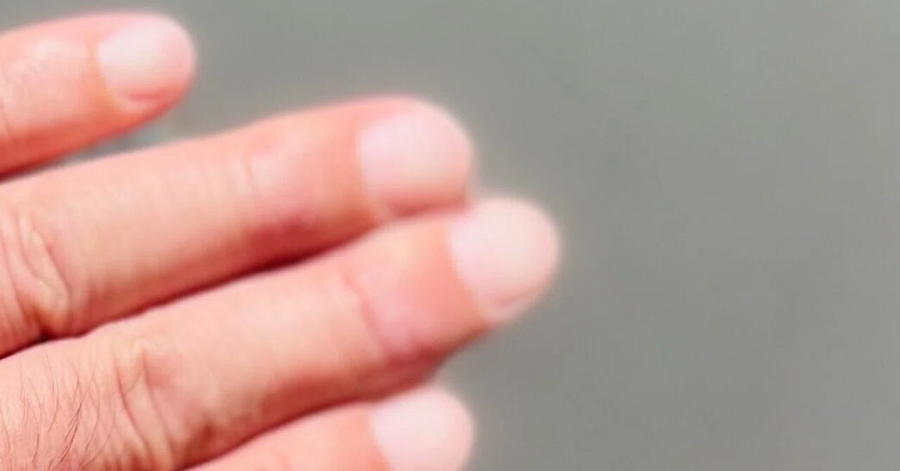 もし、ご存知なら教えていただけますか？薬指が長い理由を｜龍蓮川