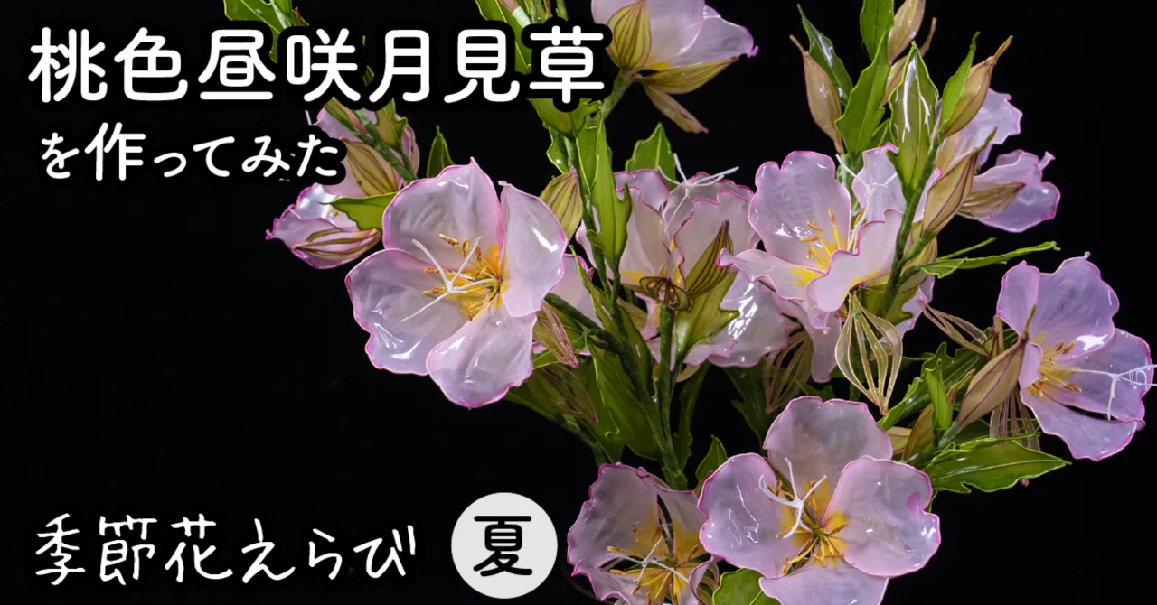 桃色昼咲月見草（Pink Showy Evening Primrose）｜岡田香陽子 のDip
