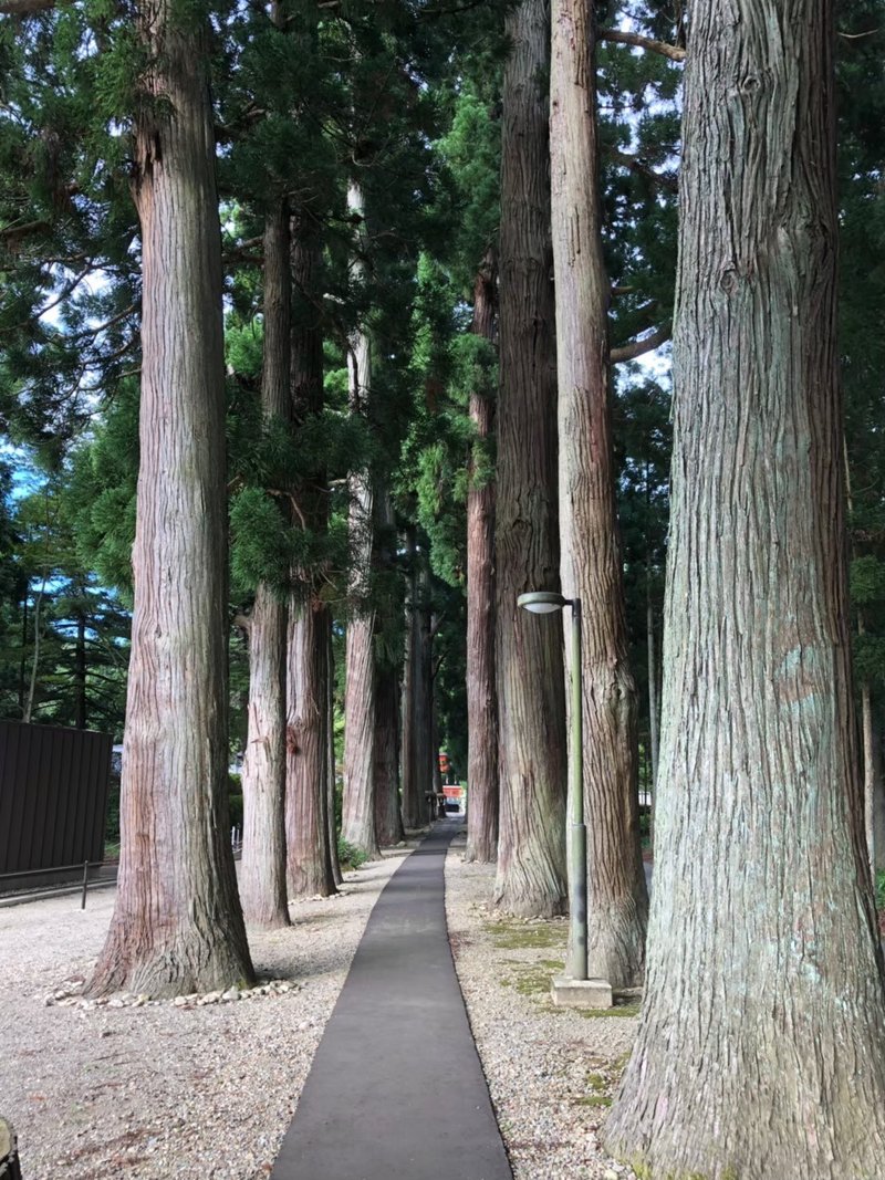 2019815唐松神社_191028_0074