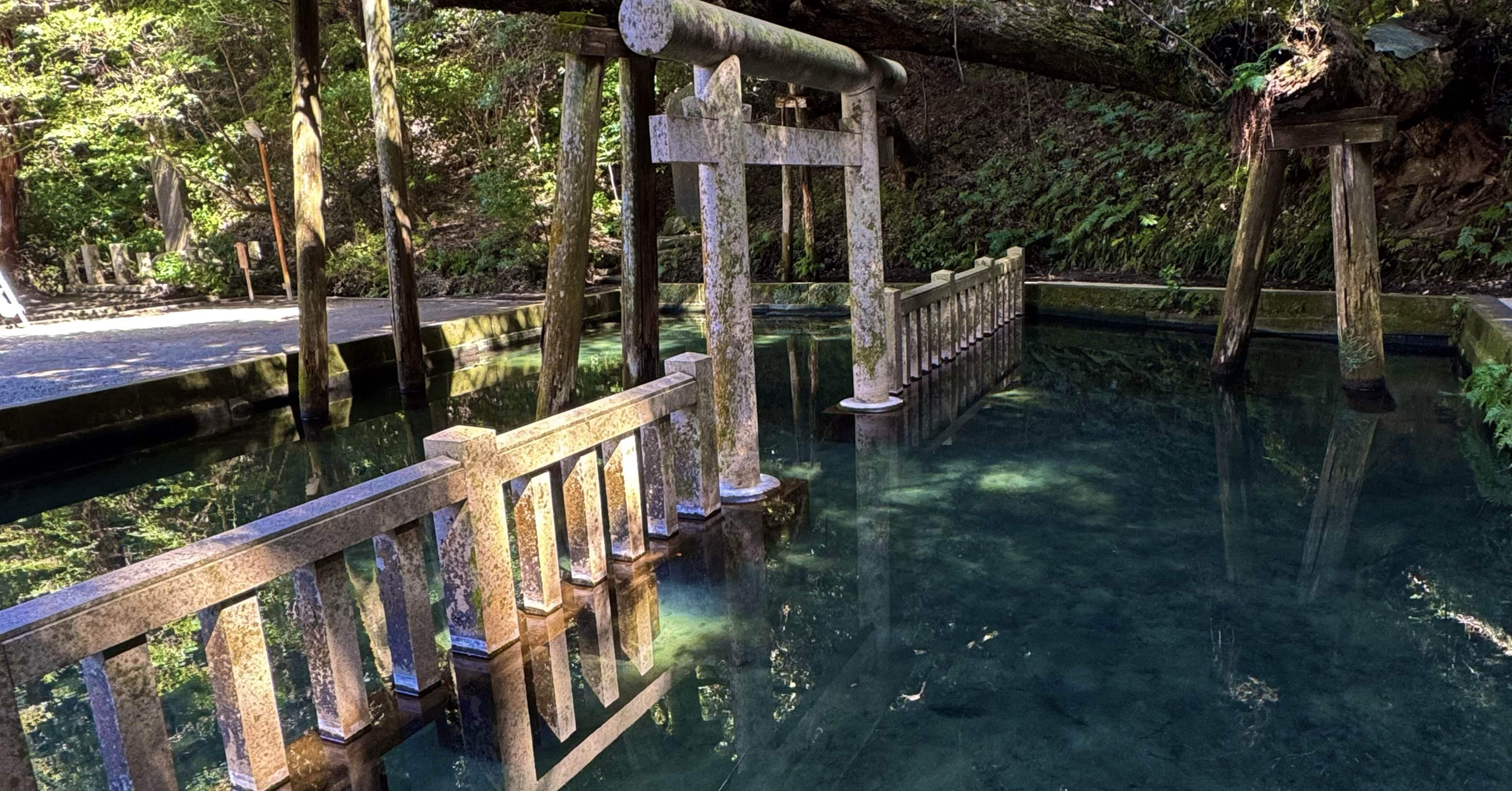 風船さま専用】神社・鳥居＆竹・枝垂れ桜・クロマツ（Nゲージ） 風船