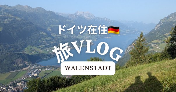 スイスドイツ語・チューリッヒ 方言辞典 /リボン付き/ハードカバー スイスドイツ語 ―言語構造と社会的地位 (北海道大学大学院文学