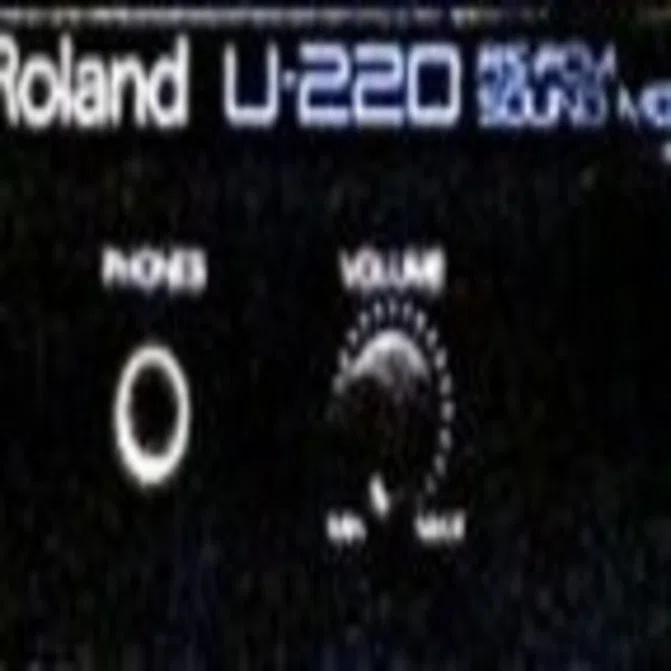 ローランド U-220｜てOのミニカー日記。