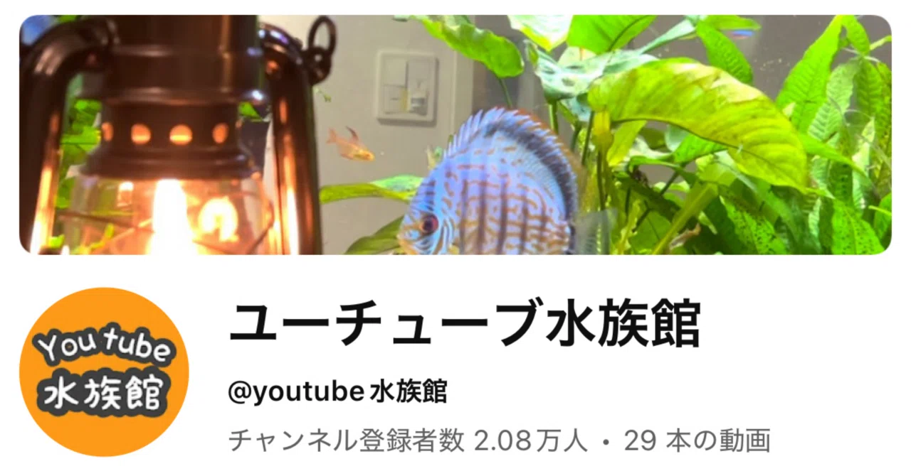 S*)様 早い者勝ち agete ブレスレット 箱・付属品付き S*)様 早い者