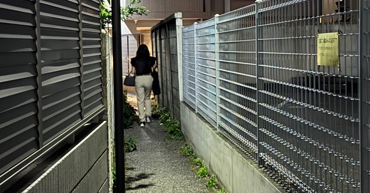 Tokyo Night Detective 26: Myoshoji River Kamitakada Tributary (Part 2)｜露塵散