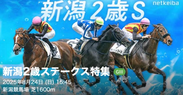 【非売品】ロードクエスト 新潟2歳ステークス 勝利記念ジャージ ウマ娘 L 競馬 2015 新潟2歳ステークス (GIII) ロードクエスト - YouTube