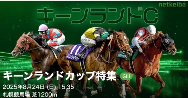 競馬パネル：ホクトベガ「1994年第30回札幌記念」 ※プレート付き 競馬パネル：ホクトベガ「1994年第30回札幌記念」 ※プレート付き