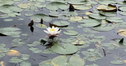 津留晃一 Essence Note 津留晃一 Essence Note