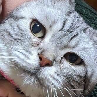 幸子は何故乳を出したのか 映画 黒い家 真央 Note