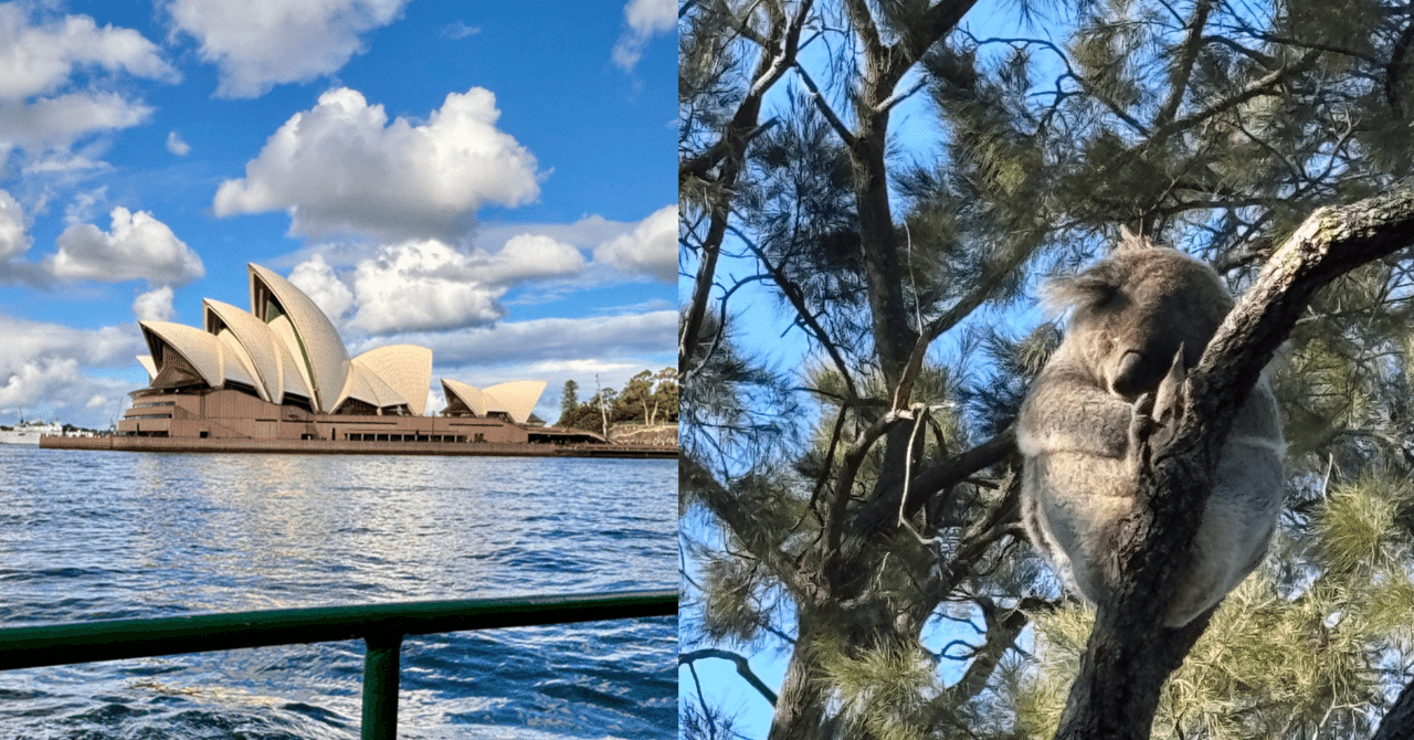 オーストラリア シドニーのタロンガ動物園に行ってきたよ！｜kakera