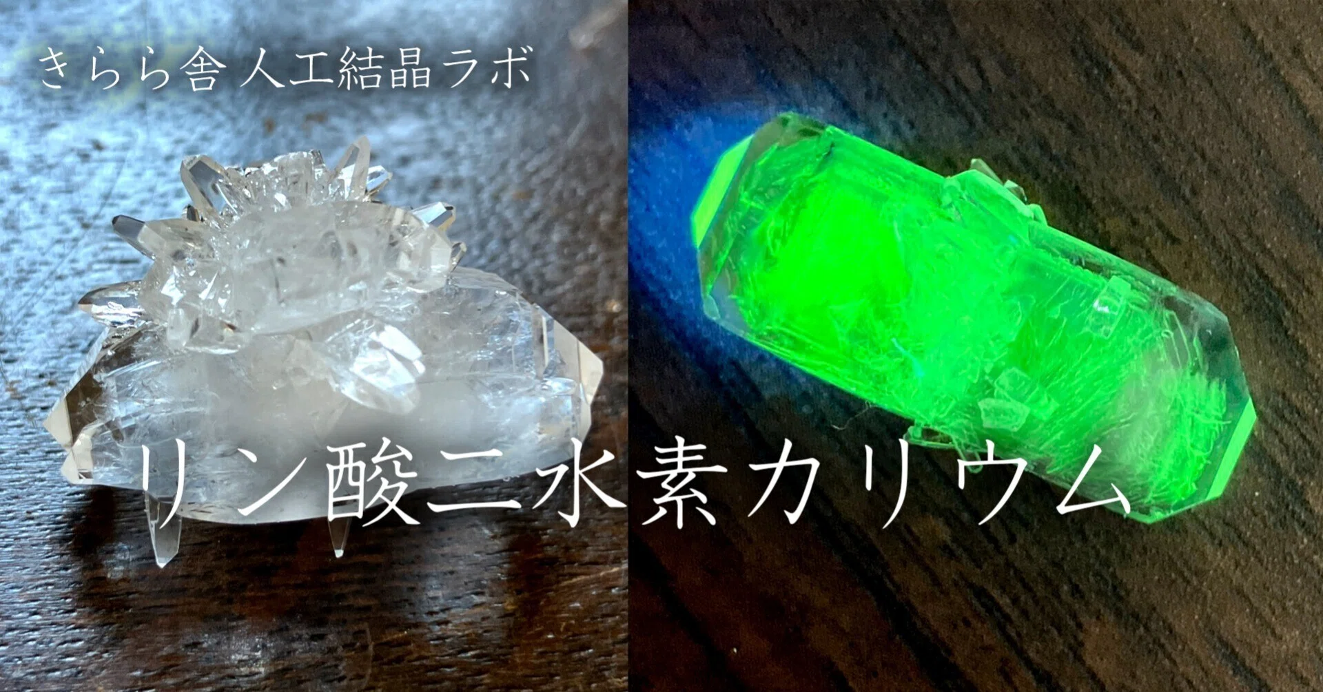 人工結晶ラボ／リン酸二水素カリウム｜さとうかよこ（きらら舎）