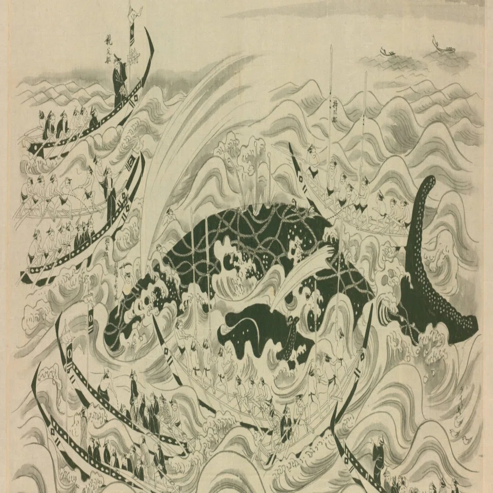 生月島捕鯨】勇魚取絵詞（2）生月御崎沖 座頭子持鯨 剣切図｜mominaina