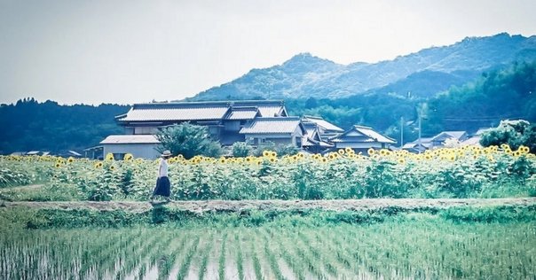 033.『生活景 身近な景観価値の発見とまちづくり』社団法人日本