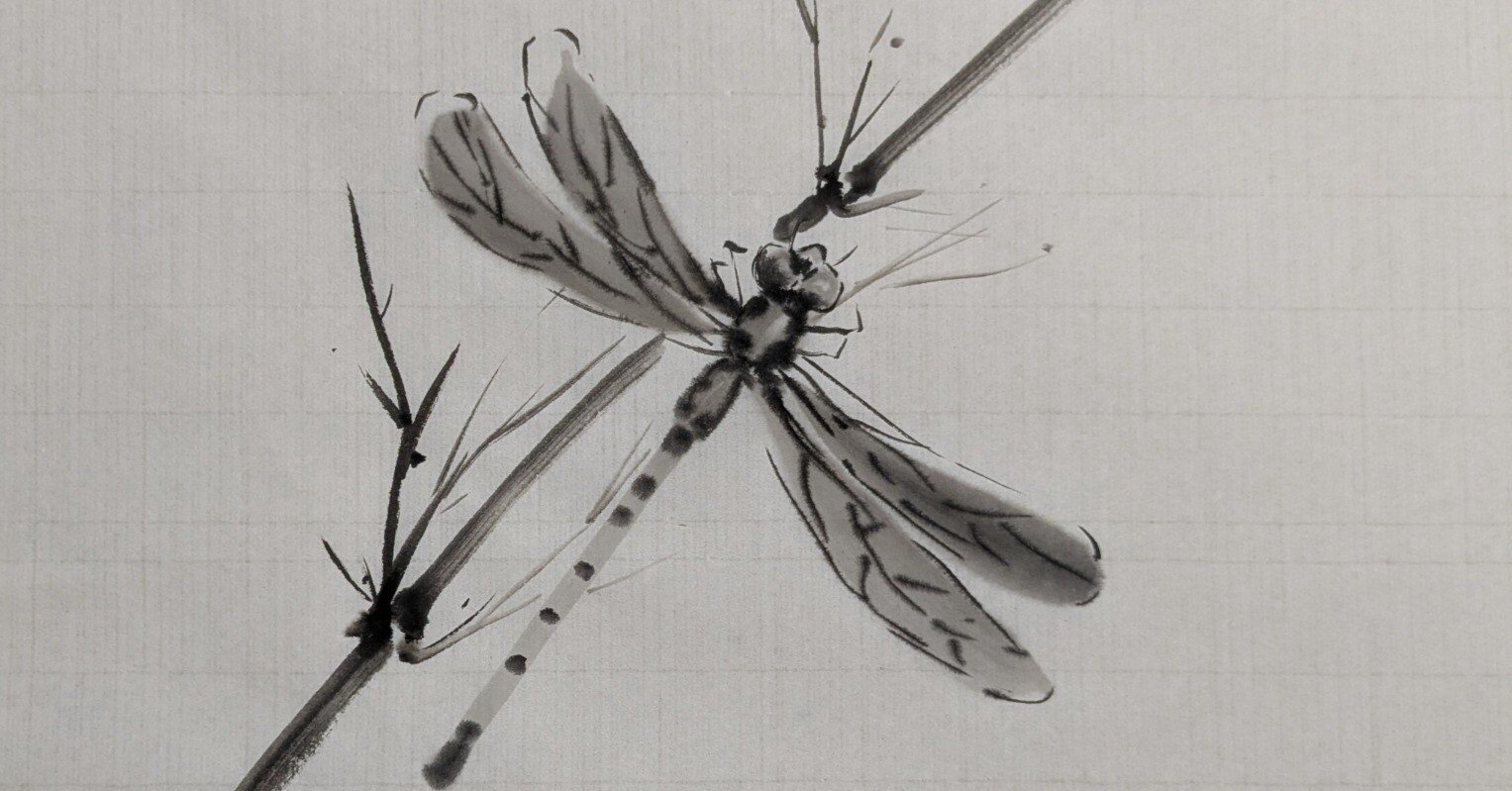 水墨画、蜻蛉｜t-miura