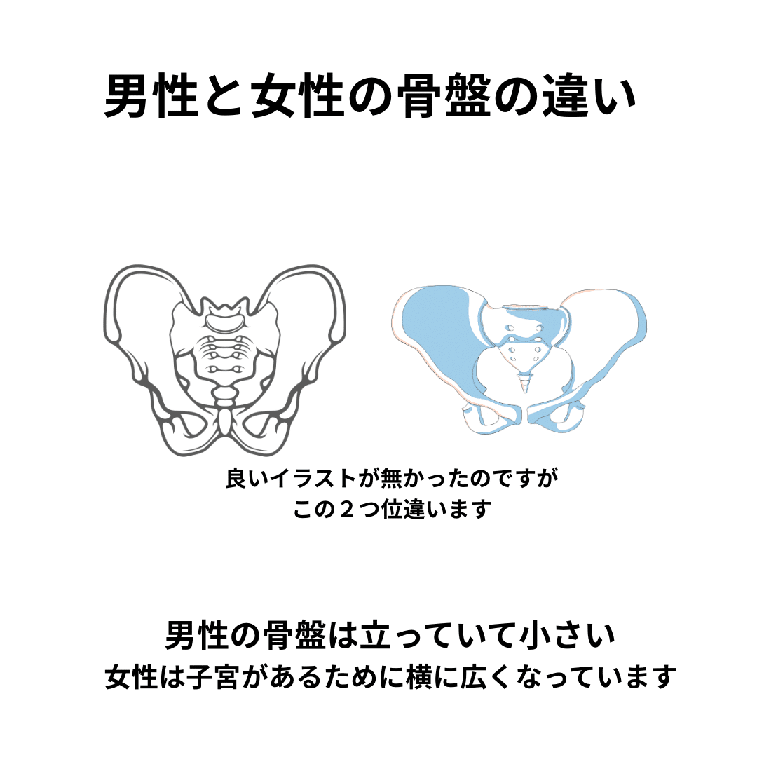 女性の膝が男性に比べて悪くなりやすい理由｜目覚めるカラダ作りトレーナーkumiko fukui