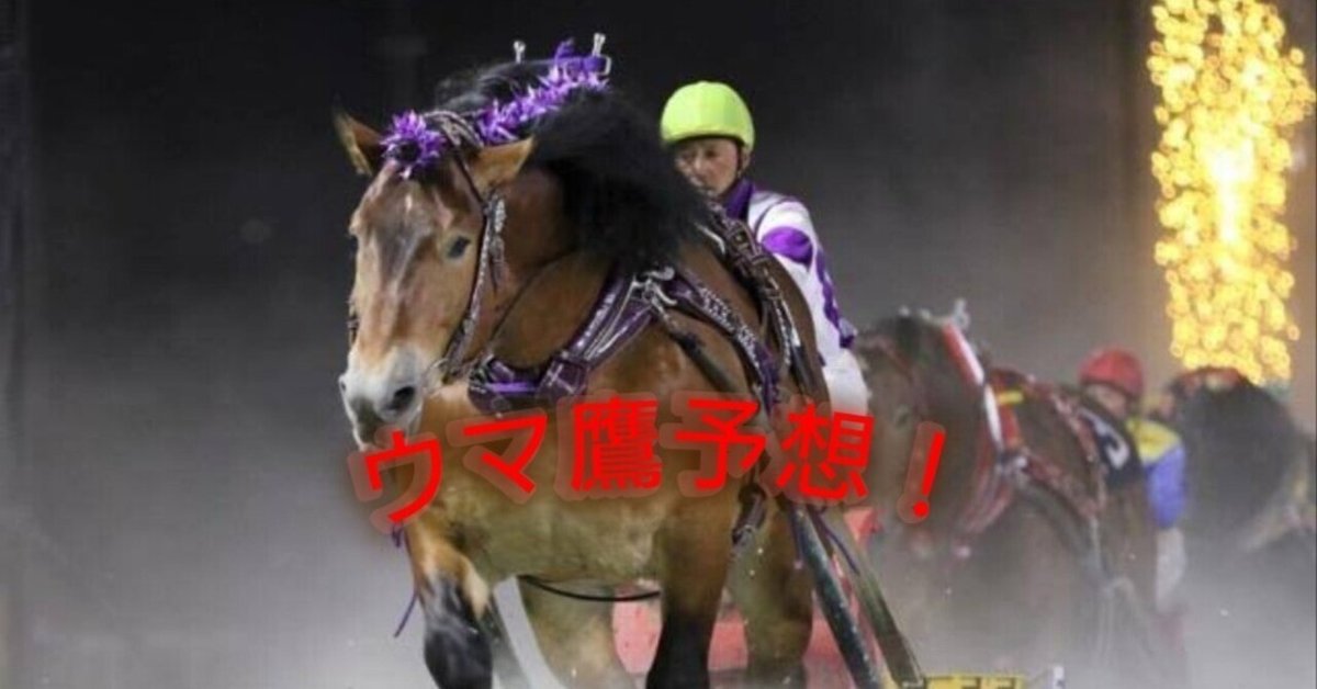 競馬メーンレースの勝ち馬は最終レースでわかる入手困難品クーポン限定ポイント殺菌済 8/18 最終12R B2-5混合 期待度 信頼度☆4｜ウマ鷹