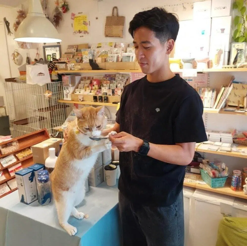 熊本 猫とnëco｜豊田歩 Ayumu Toyoda