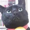 Web屋の戯言
